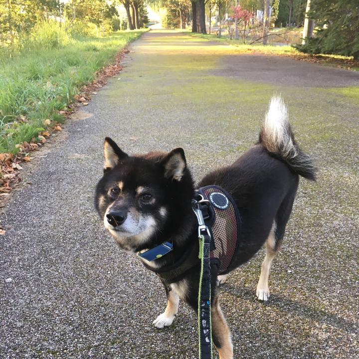 A316d0a0 2374 4ce3 92c4 d4652a762c88