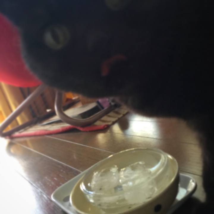 A31779e5 f653 4f8c ad53 9cb2ba2c71de