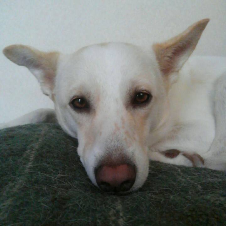 A31869f2 6bec 4f18 b070 82ec0cbc6c9d