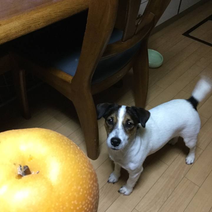 A3189caf 487d 4556 9339 d3465d08d701