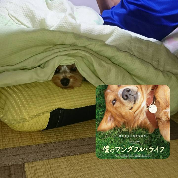 A318a875 0cef 4b08 b19e 87867297fd0a