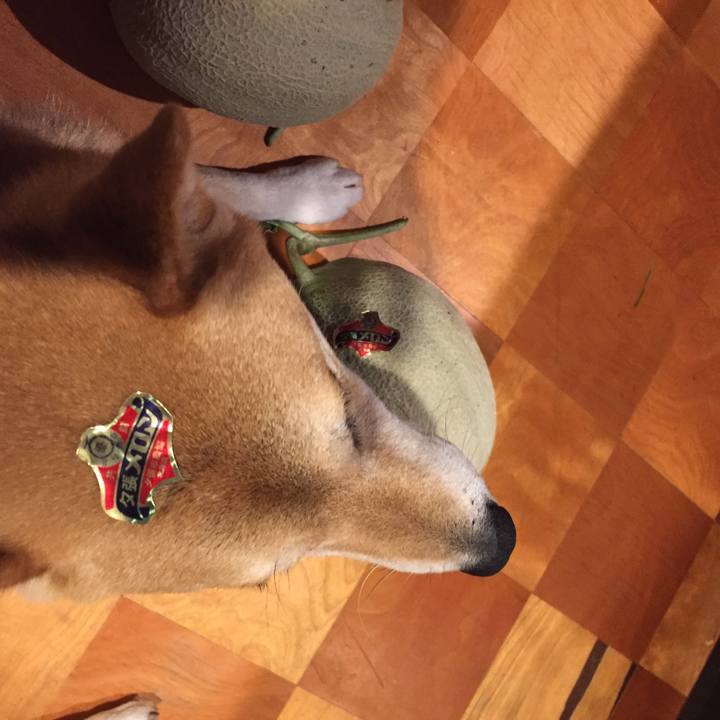 A318e02e 5da9 4866 836a e3ed39706e6b