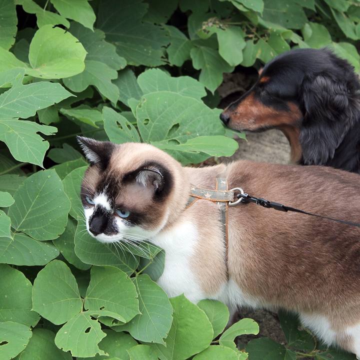 A3190416 37ca 4695 a493 e83644824be4