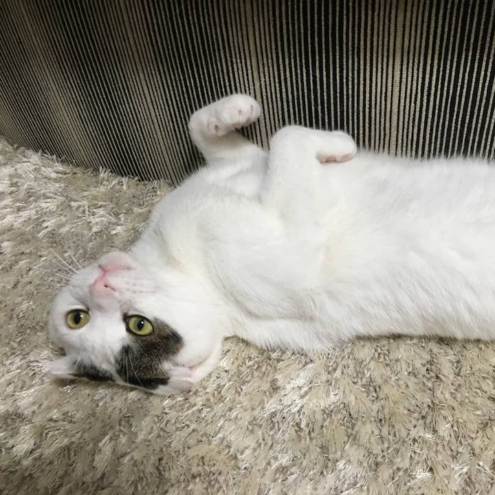 A3191e6e 4d02 433d a103 472ea4ac9ca4