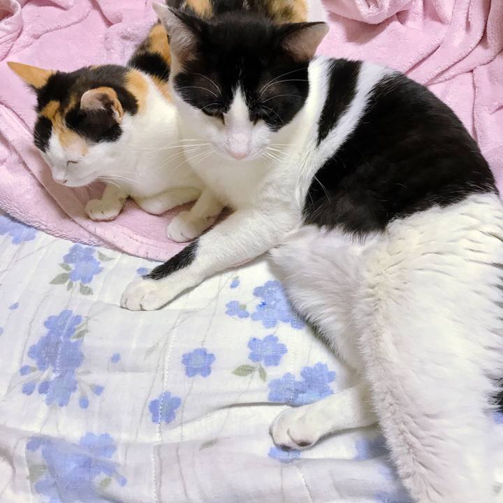 A3193df9 4d79 473e 986d eb2dc1cbc7cc