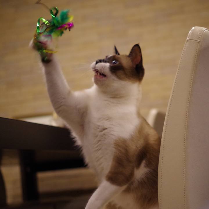 A3198954 10b4 4d1d 845e cd253a9a2240