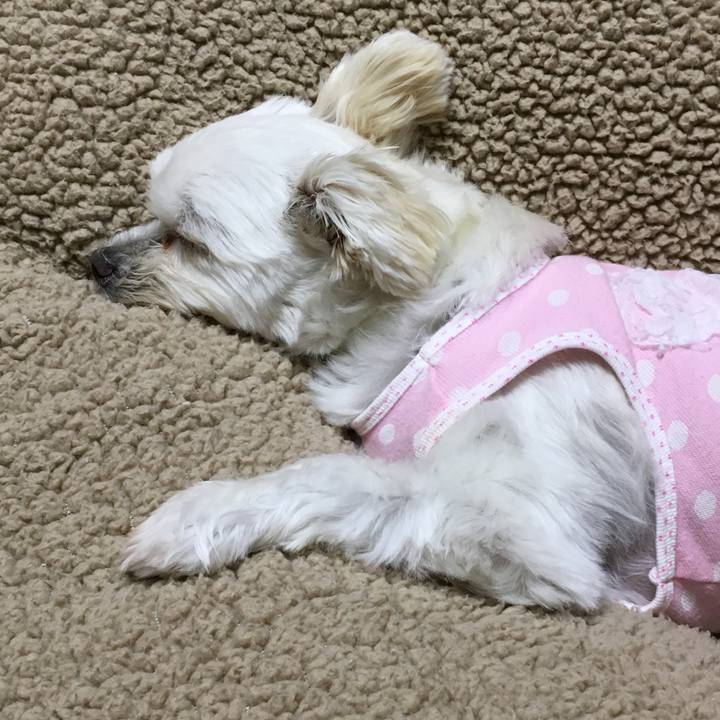 A319fd5b 1d93 49b1 a39c ad3e133ea8b7