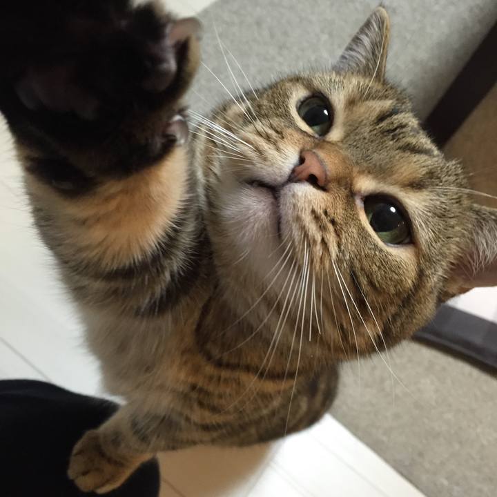 A31a0cad 3b16 404a 9cd7 2d0d2d583137