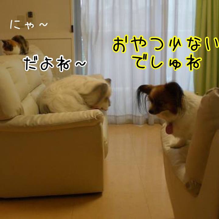 A31a7d58 fe5a 4ffc be91 0a6630eb0ea5