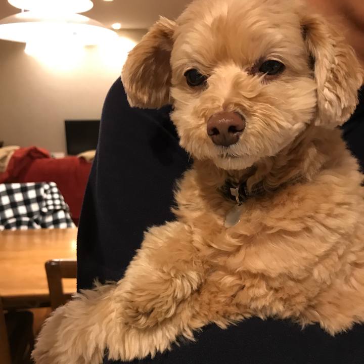 A31b3952 cdd1 4ad2 a1a4 4d847491e094