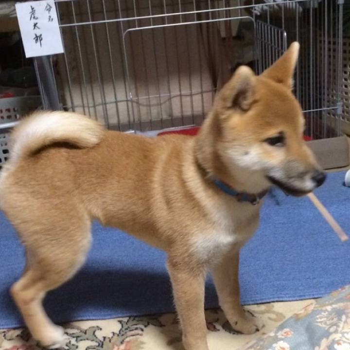 A31bbd9a e260 48e5 ba13 a21af0db8b34