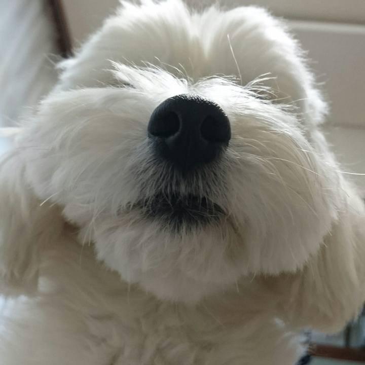 A31d2be2 ea98 4ffd b42e 47f278997d6f