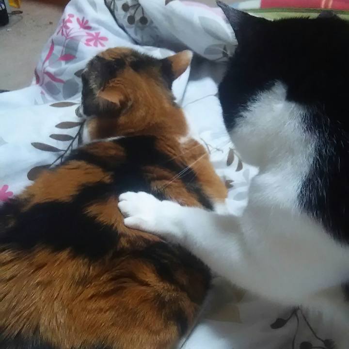 A31d30cf f7c4 4dd8 b830 35f02957d84a