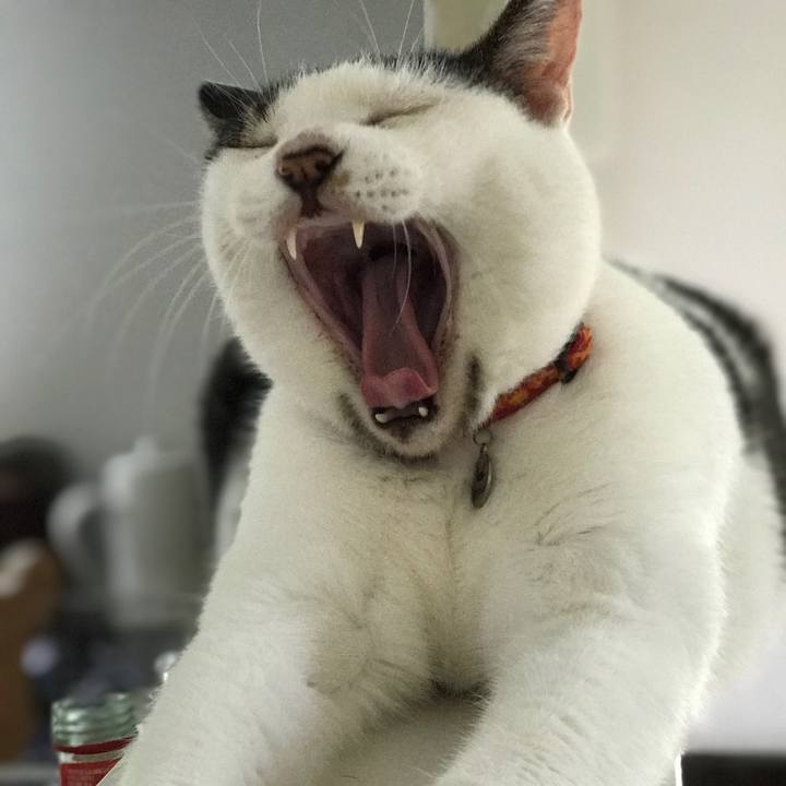 A31d9c9e fcac 44ff 913b 990e6acfffa0