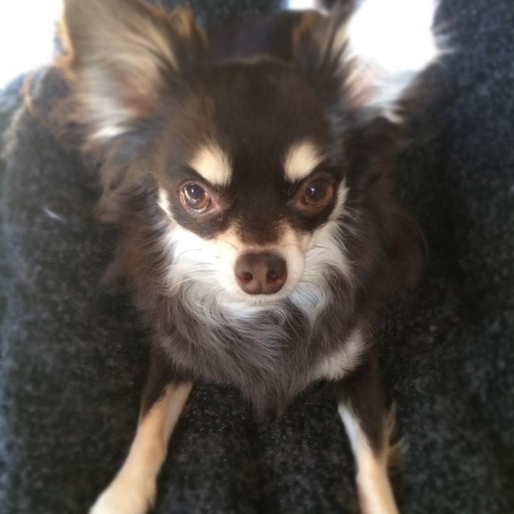 A31dc3cb 3b4d 4d68 b6ef 8c2b08fbd8be