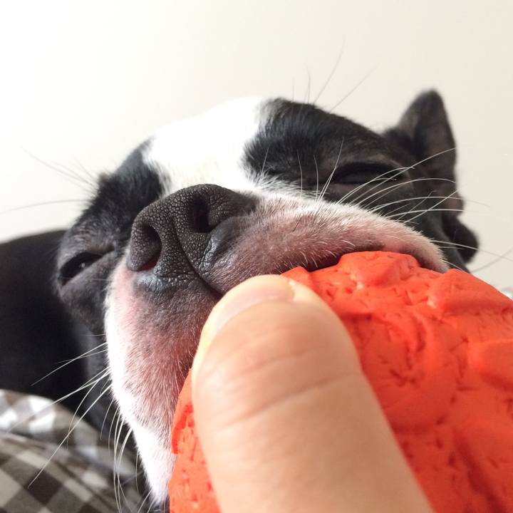 A31e5183 bff5 4c38 bc49 9d956ba02662