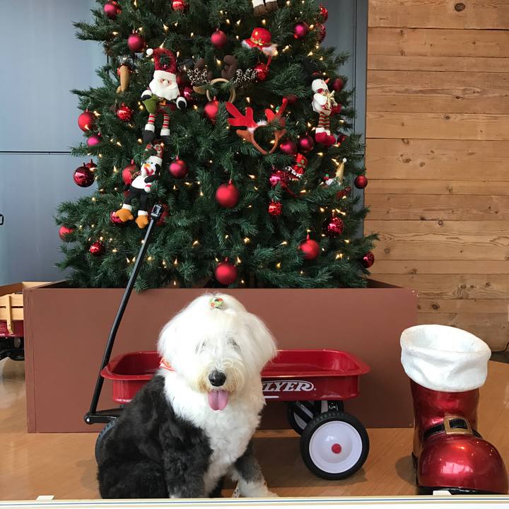 A31f3709 b5ed 4a99 ab69 cf68133cb947