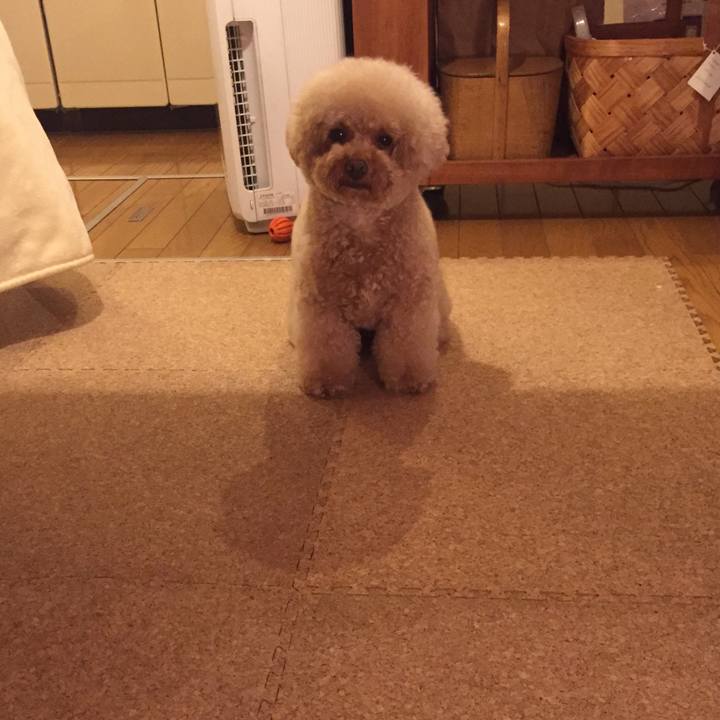 A31f3a01 ef40 49d8 af28 9b6a99523fb7