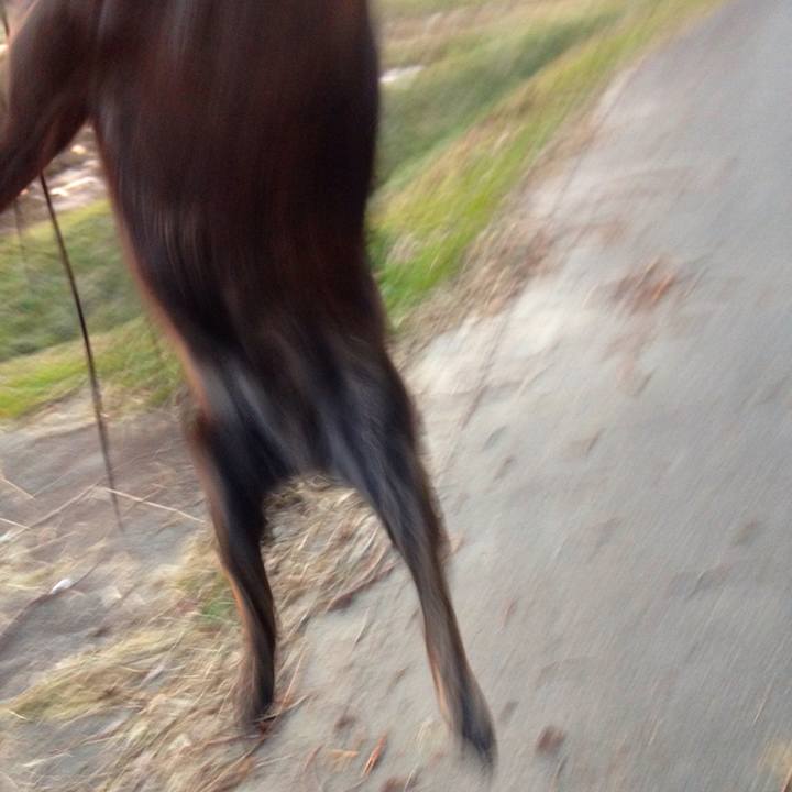 A3208361 7dfa 446d bad5 7b21d81fe6d4