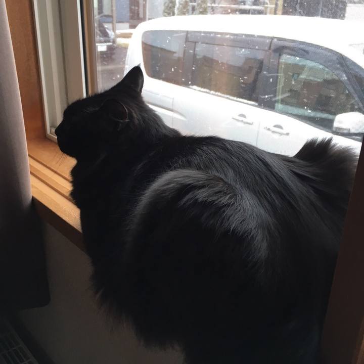 A321b9c2 a196 4586 82a8 d7e955b13fde