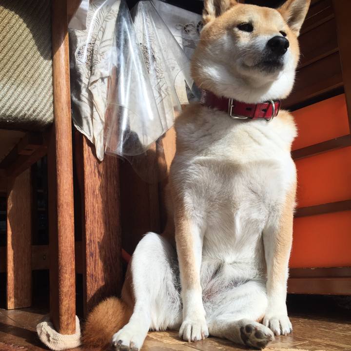 A321d3a2 b8fa 4378 98f8 7b4a9ec6ff8c