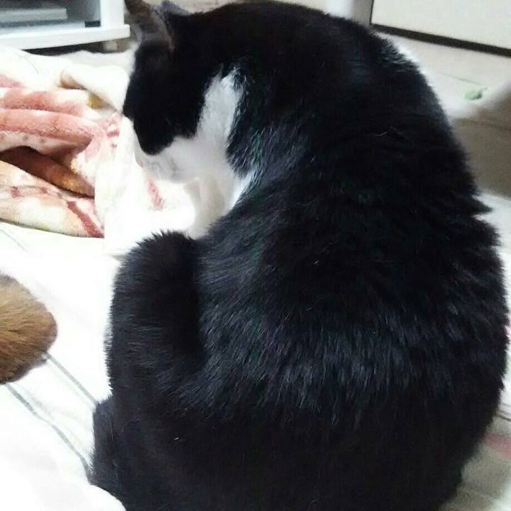 A321dfd8 8ded 40ae 9e0a dfef76019149