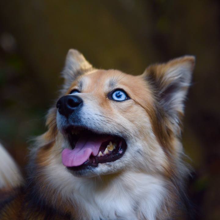 A3221f3b 13cd 45aa 9029 d9844e1bc1ab