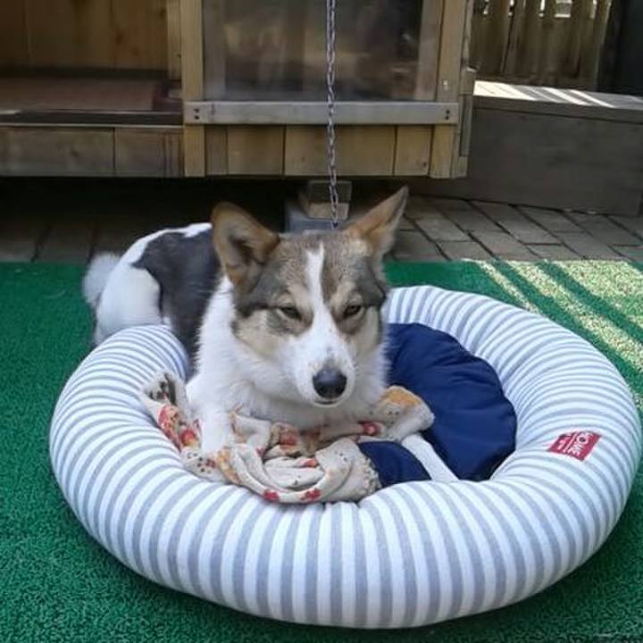 A3221f85 a9e3 461f b3e7 6be29bd9cb38