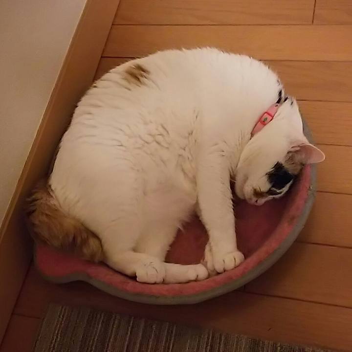 A322722e 09a1 43b2 91de d4cae10fb717