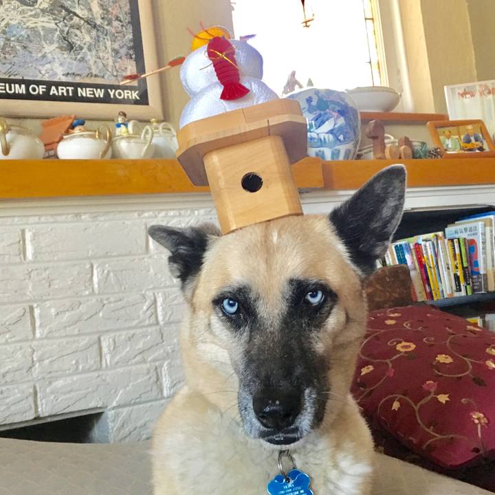 A3228eb5 770f 445d a766 113f6f50c87a