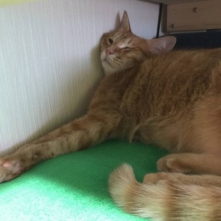 A323c694 8a4b 423a 946d bd2c061fa8fc