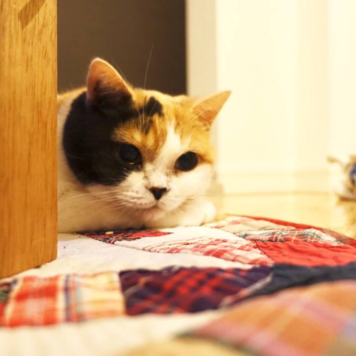 A323fbd3 71ee 4597 b9df 30c6db6b16f5