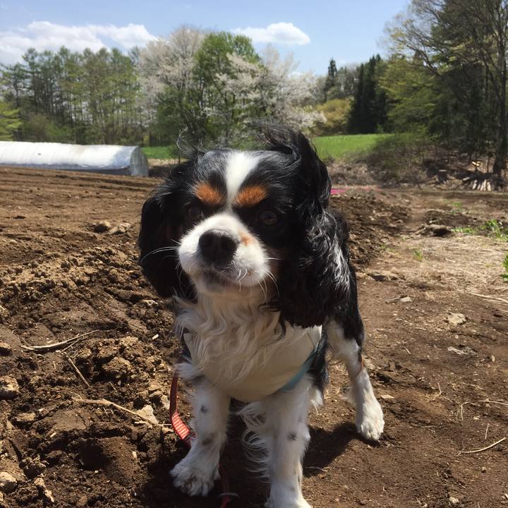 A32494f3 700a 4b40 8a70 27a0382b66b1