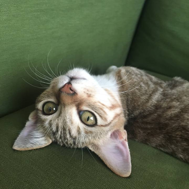 A324b593 3da3 4309 8f65 2da269cc5f01