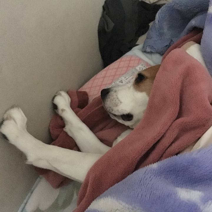 A324bd52 663d 472e b00b 320774b7bf90