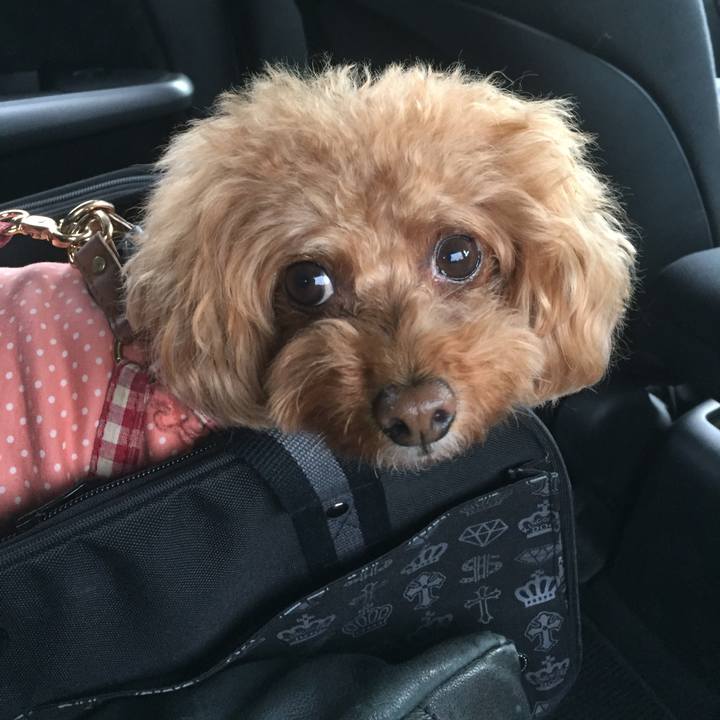 A324f11f aa8a 465a aba7 95c31fac416a