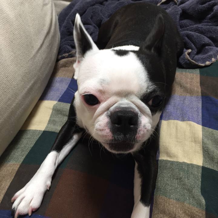 A325a734 5d2a 4248 81c0 8994acae49e0