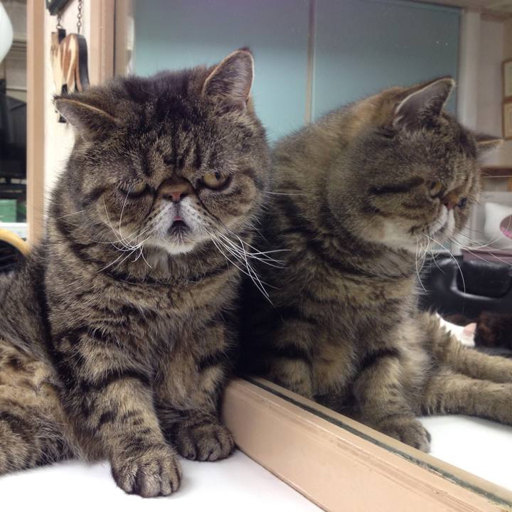 A325ecfa 0650 48db 925c ab9f7b2f76eb