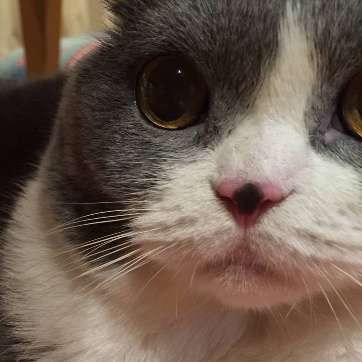 A325fd3f d8b4 4deb 9bce 37bd7541a4e3