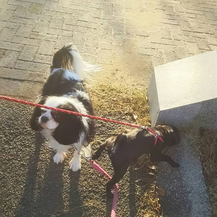 A325ff45 2cbb 4282 bb2b 3584c48fde2d