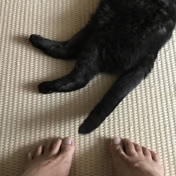 A326e17c 7935 42a1 b7ed 293a226dac48