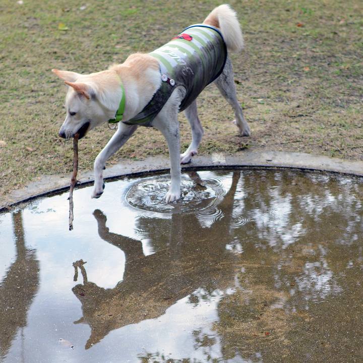 A3279650 d766 4c30 928d 9007782f6eb4