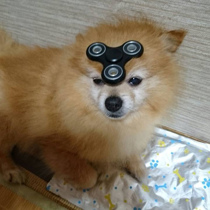 A32859a9 d57f 4f1d 98a8 d5b4e339d552