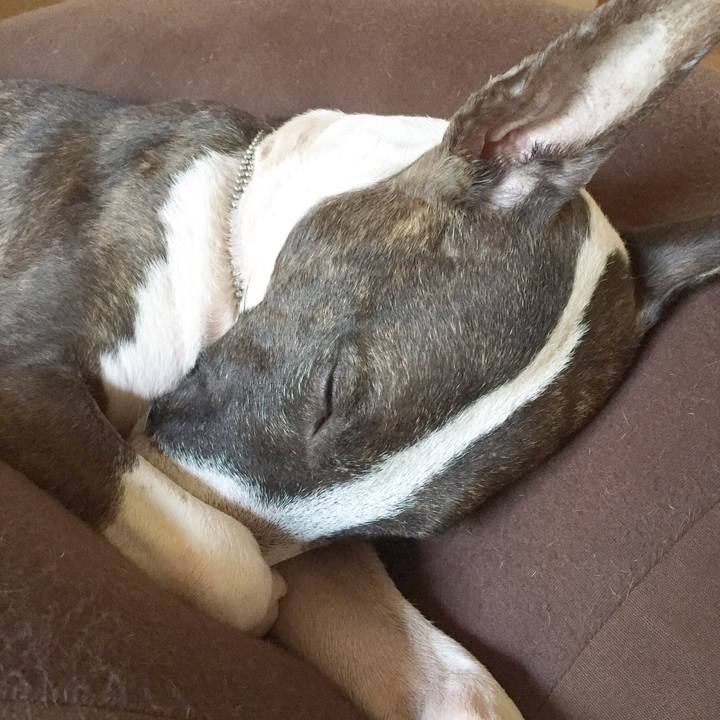 A3285f22 c036 40df 8a47 6474ff67df11