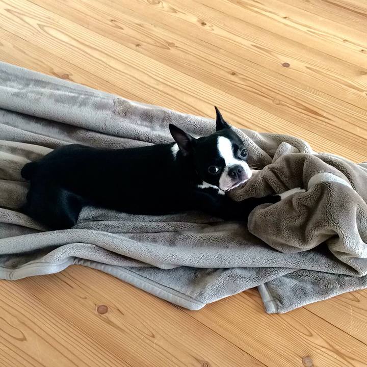 A328ee18 1cff 463f 8f13 5adb51b9c154