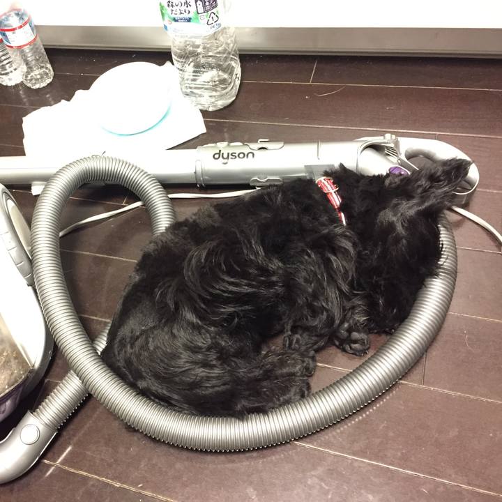 A328fc30 9dd9 4ea9 85dd 43e220e5d227