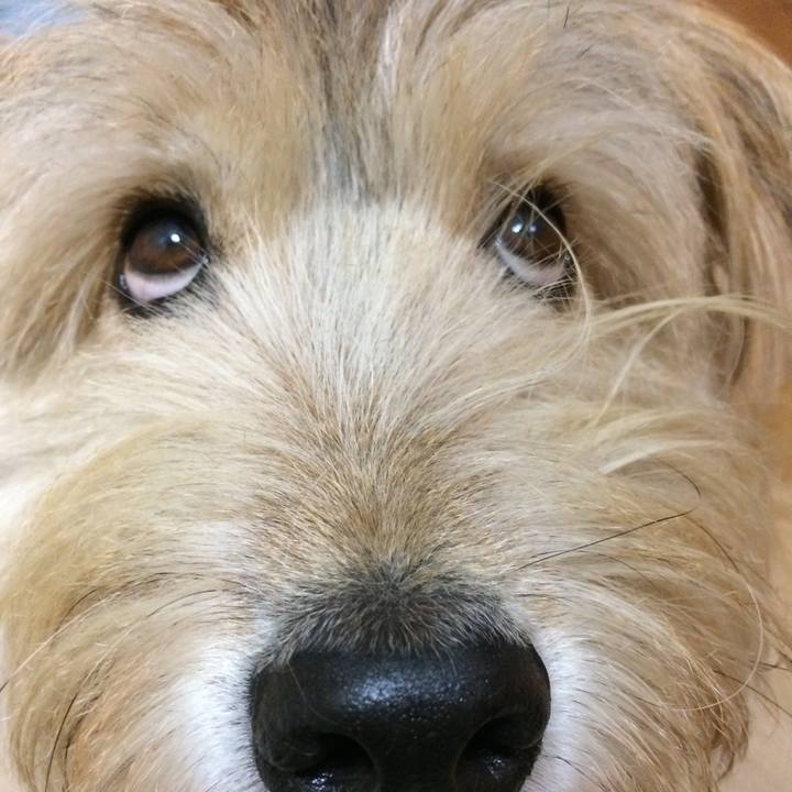 A32af992 e903 46ca b2cc 4717e01828ae