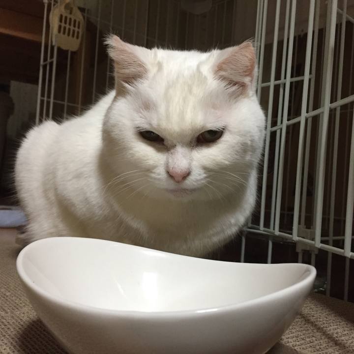 A32b93bb b222 4021 b688 c9b55a92915e