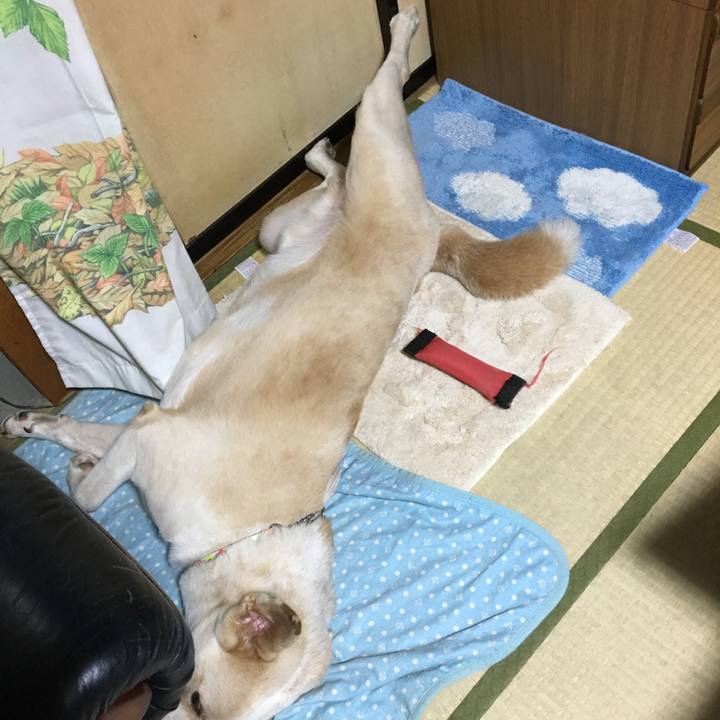 A32bf652 bb30 40a4 953a 684012ee4daf