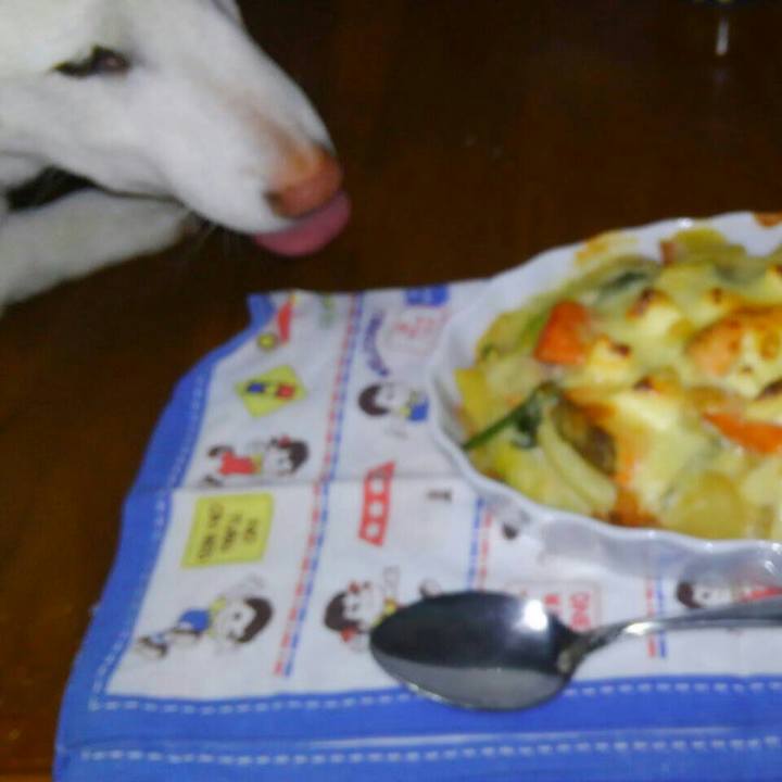 A32c5edc bf84 4716 90cc bbd11d313af8